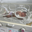 AFP_338P8AJ.jpg
