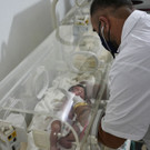 AFP_338P8AN.jpg