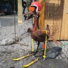 BK_IMTA BZ 130509 _241_.jpg