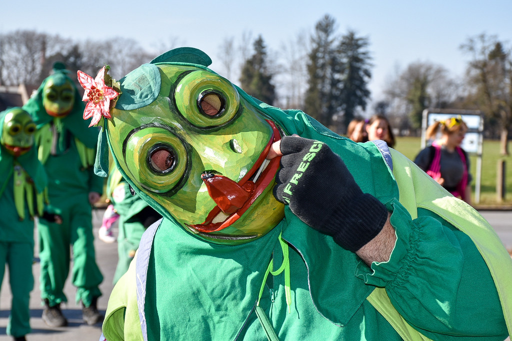 20230312_Faschingsumzug Lochau-25.jpg