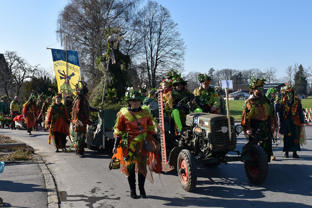 20230312_Faschingsumzug Lochau-2.jpg
