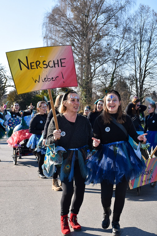 20230312_Faschingsumzug Lochau-27.jpg