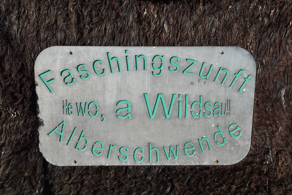 20230312_Faschingsumzug Lochau-89.jpg