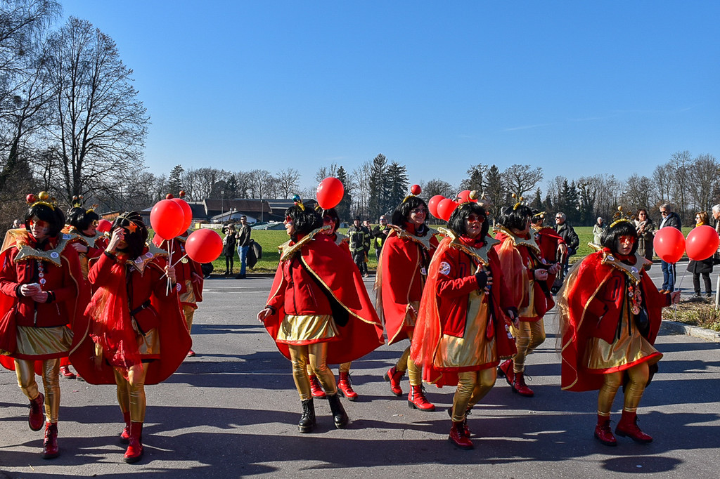 20230312_Faschingsumzug Lochau-111 _1_.jpg