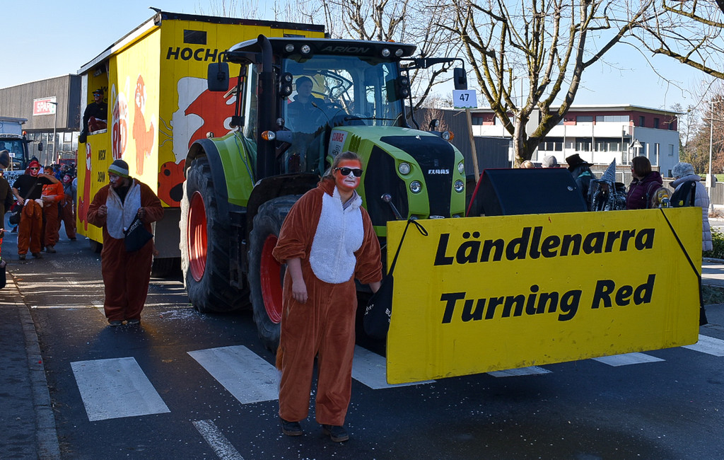 20230312_Faschingsumzug Lochau-159.jpg