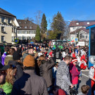 20230312_Faschingsumzug Lochau-171.jpg