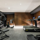 The Amauris Vienna_Fitness _1_.jpg