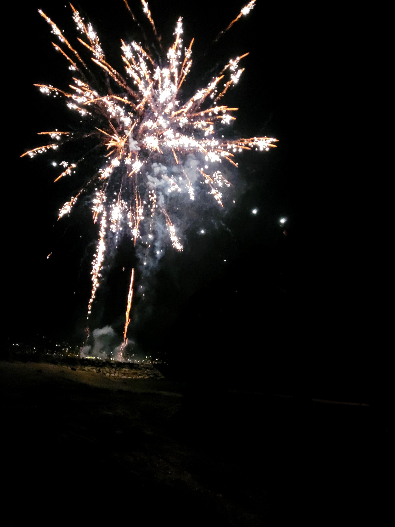 Lochau Funken B__UMLE Abbrennen ANK__NDIGUNG Februar 2023 _4_ DOKU.jpg