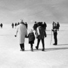 Seegfr__rne 1963 Foto von Erwin Bennat BERICHT Februar 2023 _4_.jpg