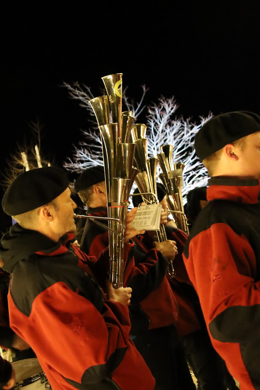 Rosenmontagabend _74_.JPG