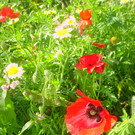 DSC08201.JPG