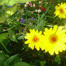 DSC08207.JPG