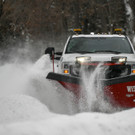 AFP_339U2WX.jpg