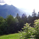 1105489.jpg