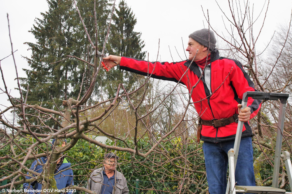 Winterschnittkurs_2023_016.jpg
