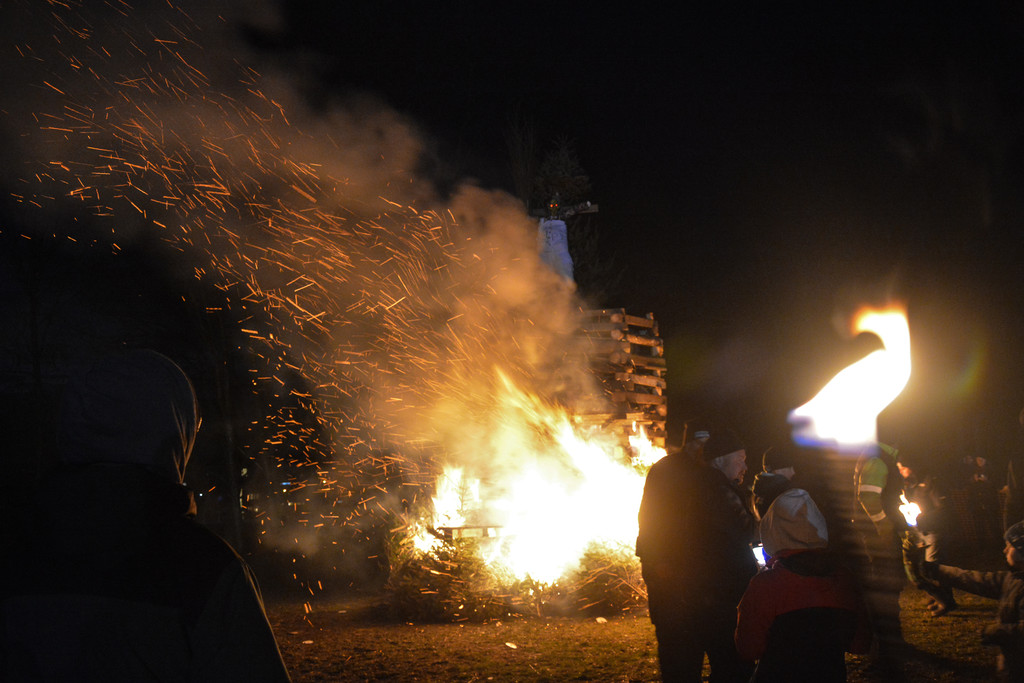 DSC_6784.jpg
