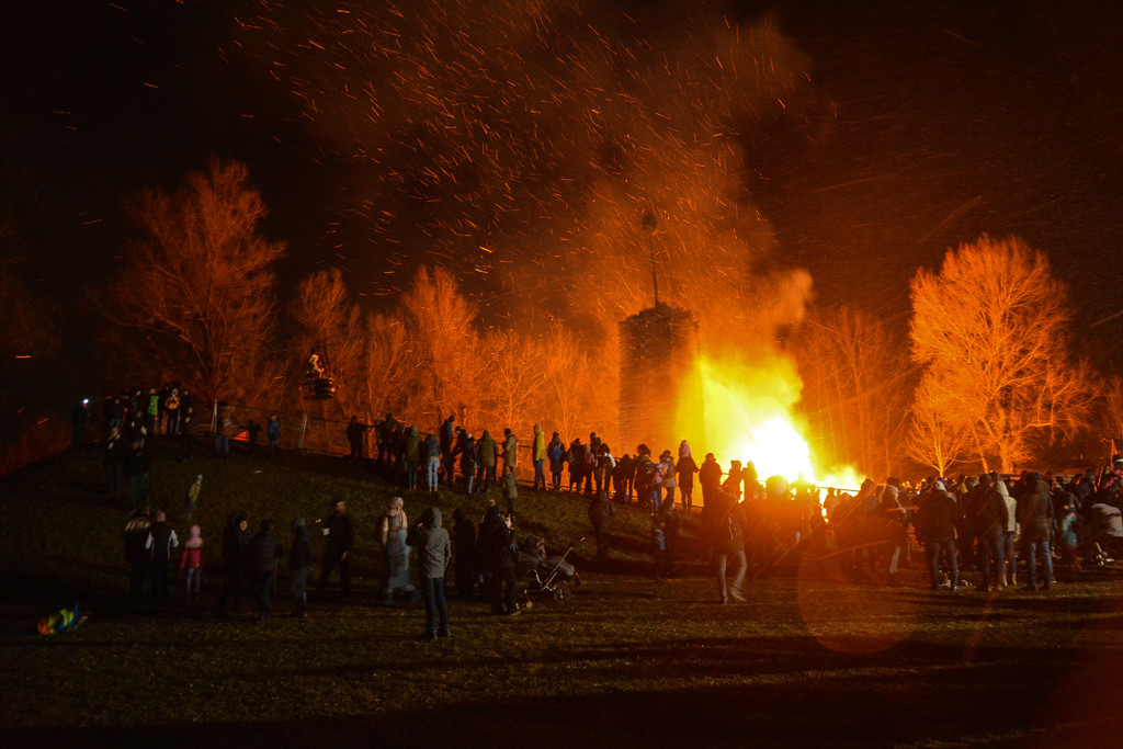 DSC_6805.jpg