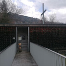 IMG-20230224-WA0006.jpg
