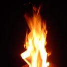 1106430.jpg