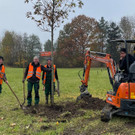 csm_20230224-Neue-Ba-ume-im-Stadtgebiet-Pflanzaktion-Herbst-2_7155e29cea.jpg
