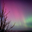 AFP_33A93L3.jpg