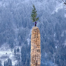 c_Scopoli_Schruns_20230226_0143.JPG