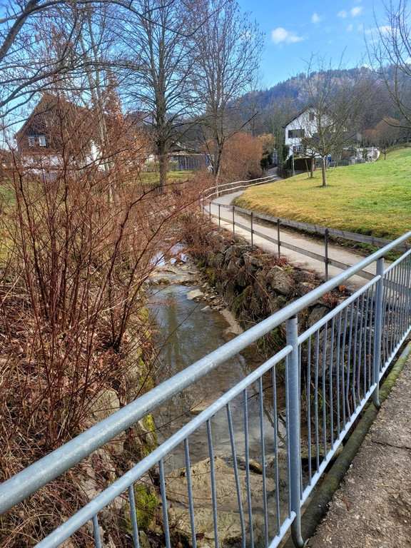 DORFBACH Ausbau Schwendeweg B Bestand ALT 18-02-2023 _11_.jpg