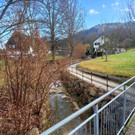 DORFBACH Ausbau Schwendeweg B Bestand ALT 18-02-2023 _11_.jpg