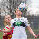 file7pacngupv6h1f29inp5a - Kopie.jpg