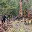 2023-03-14T151137Z_399280961_RC2PTZ9OYF2I_RTRMADP_3_GERMANY-CRIME.JPG