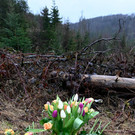 ABD0073-20230314.jpg