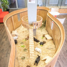 Kleintierbereich_1 __ TierQuarTier Wien_Houdek.jpg