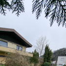 20230319_144434.jpg
