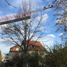 Abschlussarbeiten Seilerneuerung