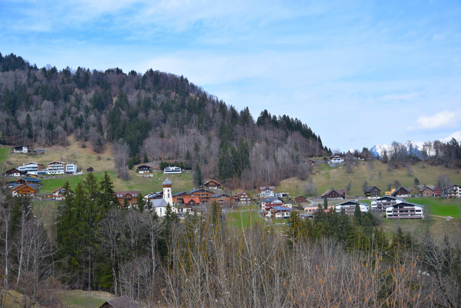 DSC_0395 4.JPG