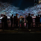 AFP_33BU6PP.jpg