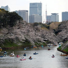 2023-03-22T100035Z_1056528314_RC2UYZ92C8WS_RTRMADP_3_SPRING-CHERRYBLOSSOMS-JAPAN.JPG