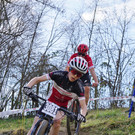 RVD_Gr__nichen_Kresser_Paul_Piringer_.JPG