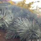 Bildschirmfoto 2023-03-24 um 15_23_39.png