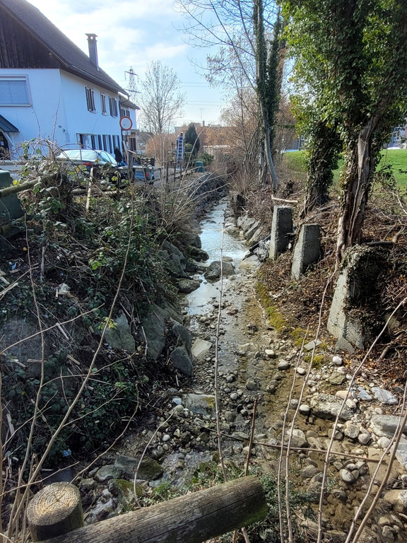 DORFBACH Ausbau Schwendeweg B Bestand ALT 18-02-2023 _1_.jpg