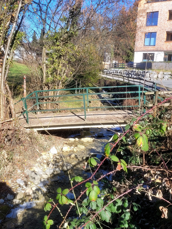 DORFBACH Ausbau Schwendeweg B Bestand ALT 18-02-2023 _3_.jpg