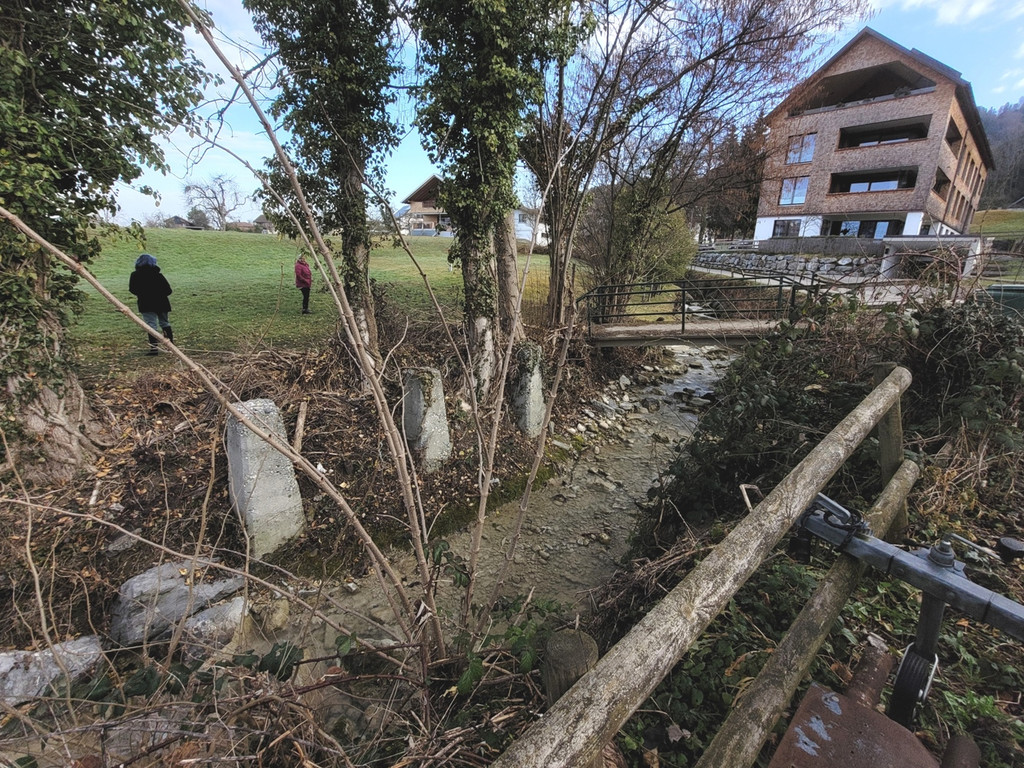 DORFBACH Ausbau Schwendeweg B Bestand ALT 18-02-2023 _16_.jpg