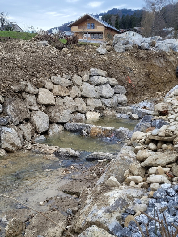 DORFBACH Ausbau Schwendeweg H Arbeiten FISCHTREPPE 10-03-2023 _14_.jpg