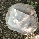 image00008.jpeg