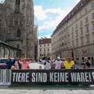Auswahl-15.jpg