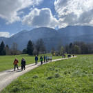 Wanderung ins Schweizer Ried