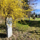 Auch Lochauer Rätscher pflegen altes Brauchtum