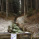 IMG-20230408-WA0005.jpg