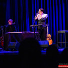 Vienna_at-6.jpg