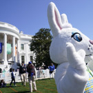 Biden_Egg_Roll_61827.jpg